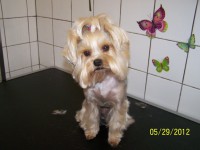 /album/fotogaleria/po-1-jpg/